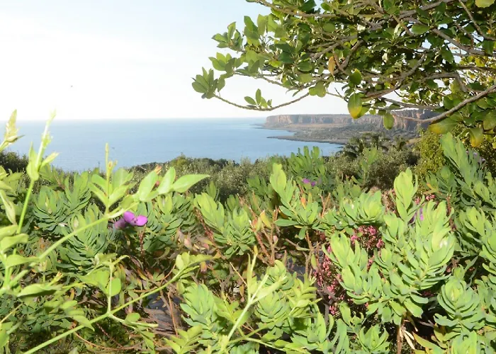 公寓 Casa Magnolia 圣维托罗卡波